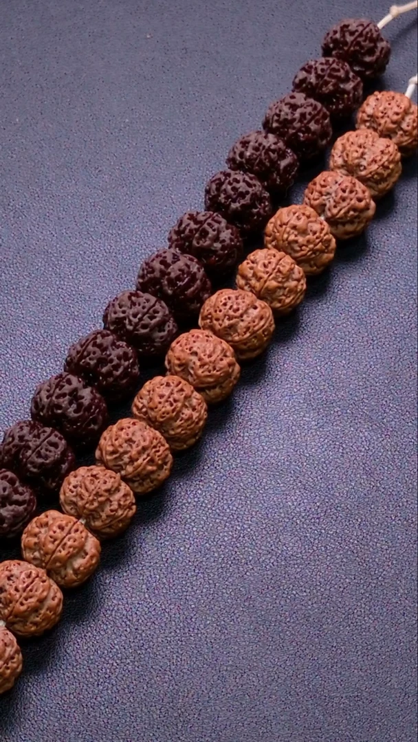 金刚菩提手串古龙梅花