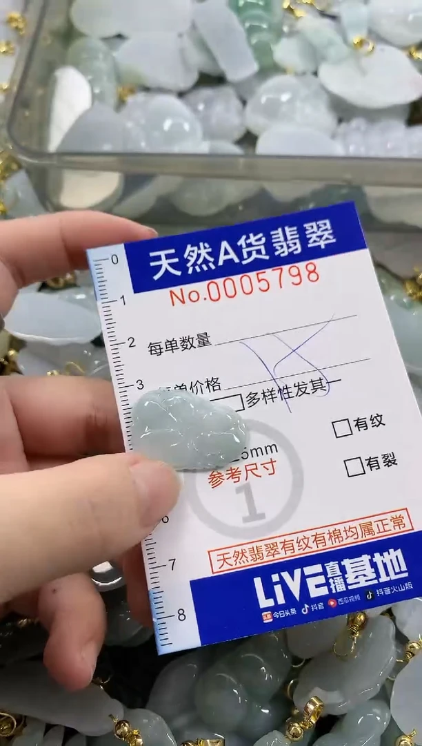 颈饰未镶嵌翡翠天然A货翡翠