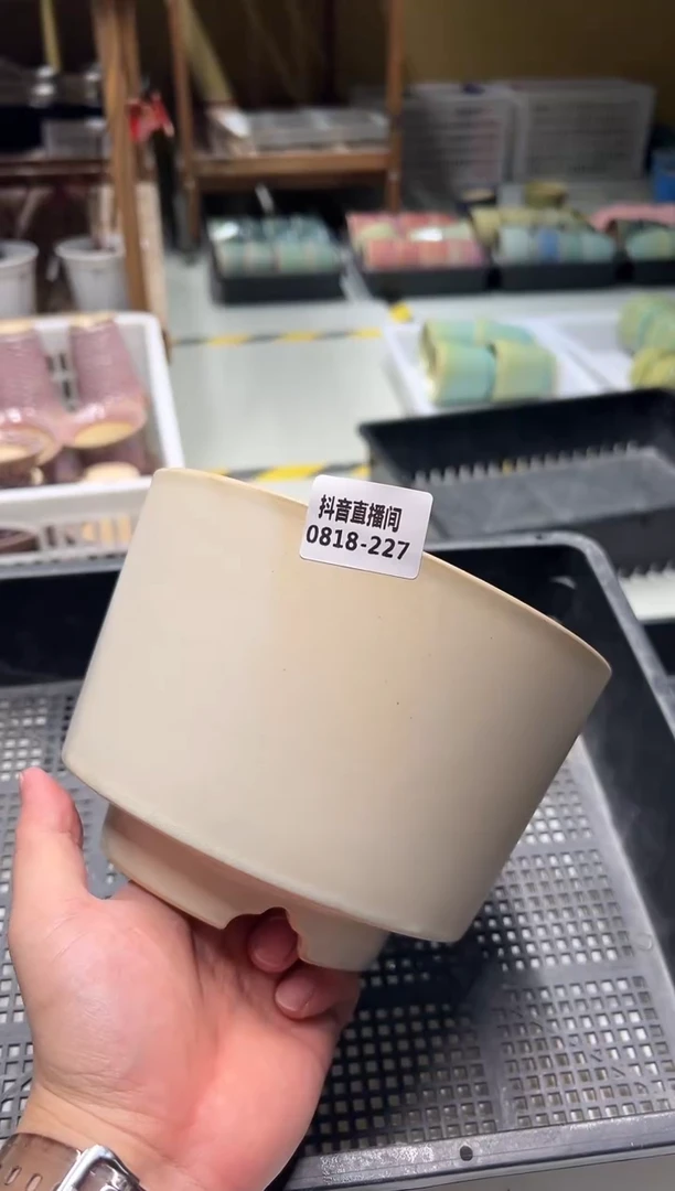 0818-227  常宿默认微瑕  一只 内口16