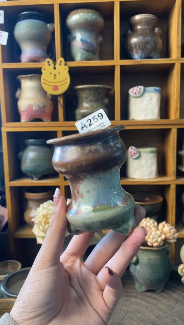 259内口6【多肉花盆多肉盆】