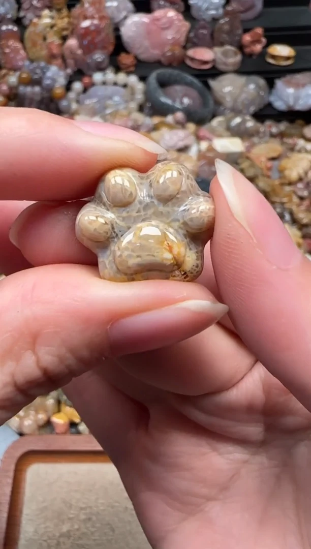 颈饰未镶嵌硅化珊瑚（珊瑚玉）254