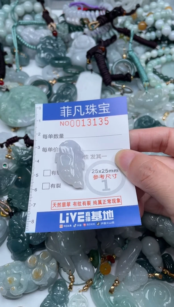 颈饰未镶嵌翡翠13135