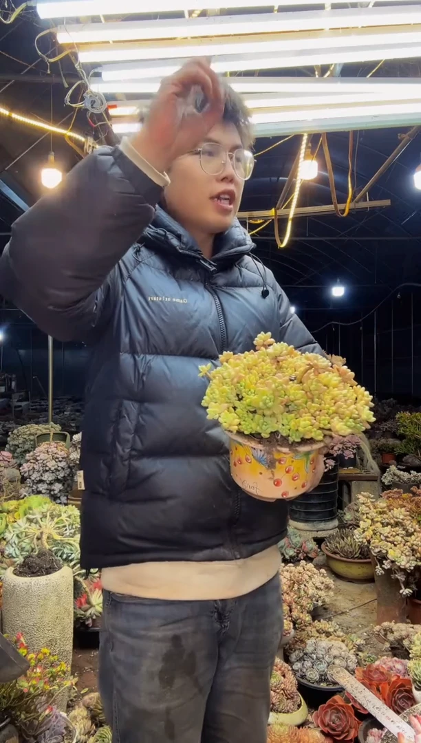 【闪购商品】精控奶酪蛋糕  包邮