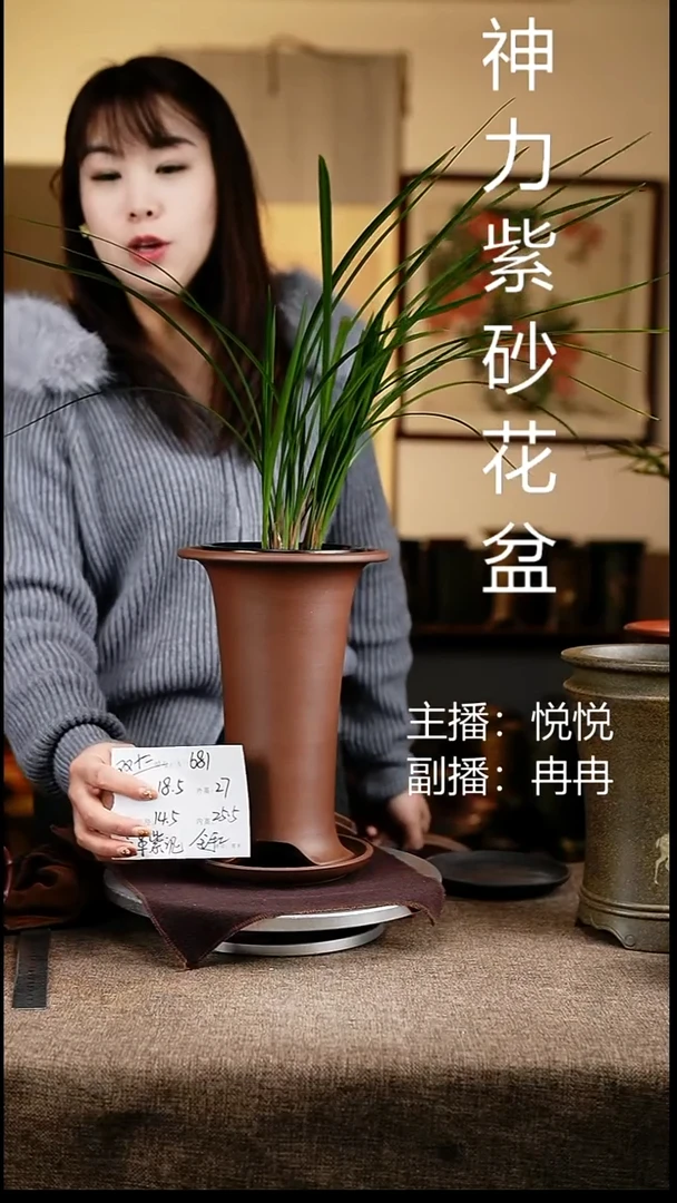 紫砂花盆花卉工艺681+z