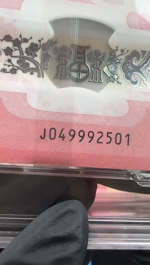塑料小蛇 整刀豹子身999靓号 百连号啊啊啊