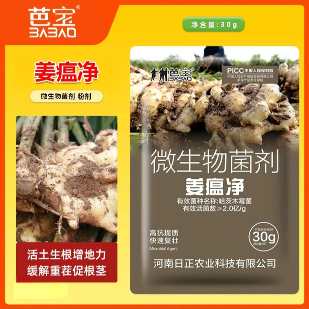 姜瘟净生姜大姜黄姜专用防治干尖黄叶烂脖子茎基腐菌剂肥料