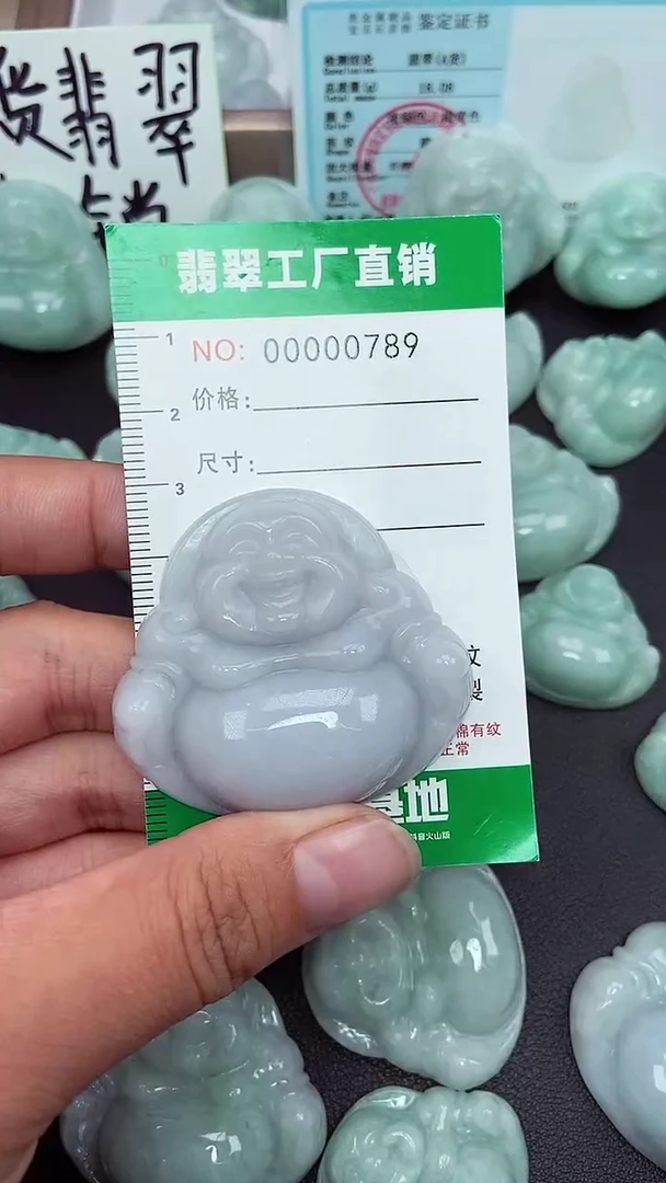 颈饰未镶嵌翡翠缅甸天然翡翠0789