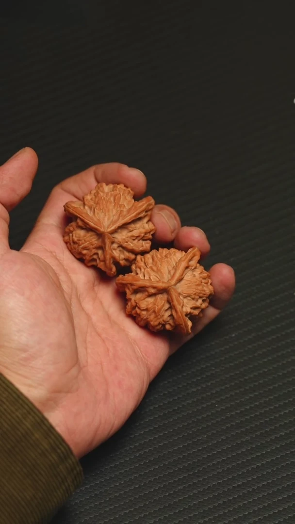 任*精品盘山三棱42