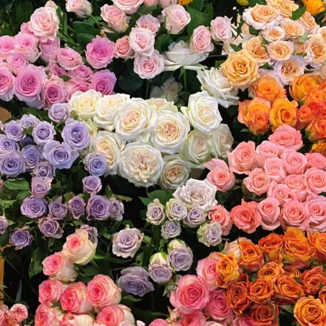 【01】鲜花玫瑰草花套餐组合 多种搭配花花 免搭配混色鲜切花基地发
