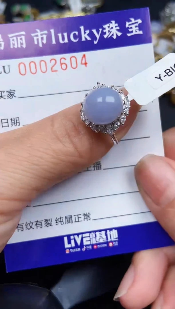 翡翠银S925镶嵌颈饰2604
