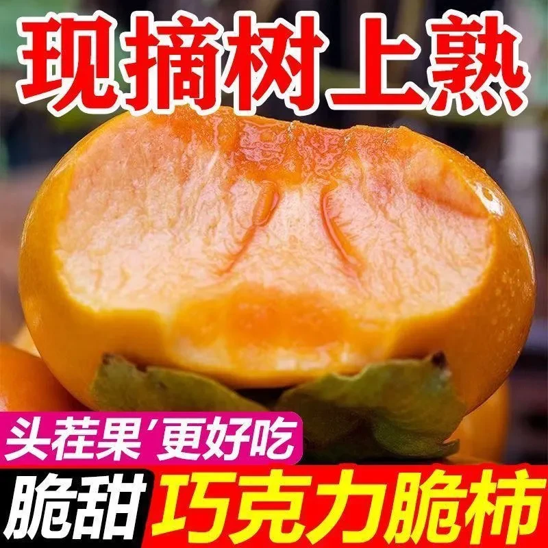 脆柿子5斤脆甜硬柿子大果当季应季新鲜水果整箱巧克力脆皮甜柿