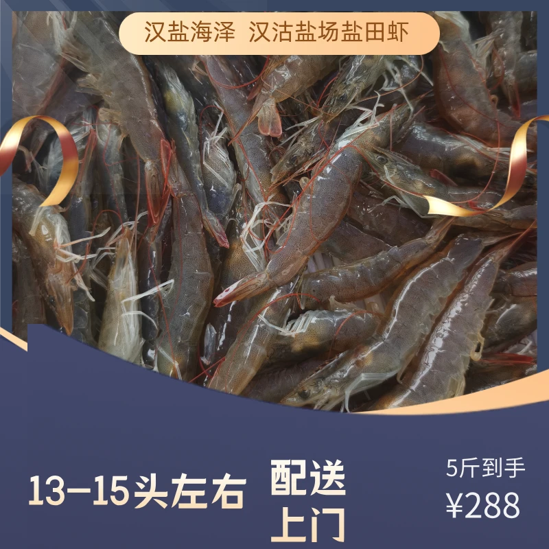 汉沽盐场盐田虾13-15头