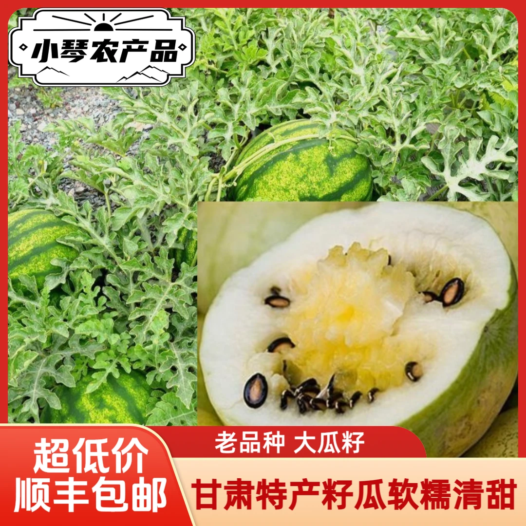 【顺丰包邮】兰州籽瓜打瓜旱砂地大籽籽瓜温热性老人小孩孕妈特产