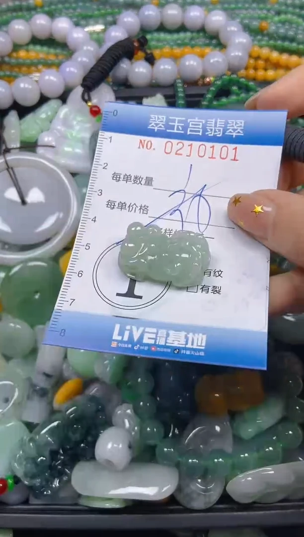 颈饰未镶嵌翡翠闪购C0210101多样性发其一