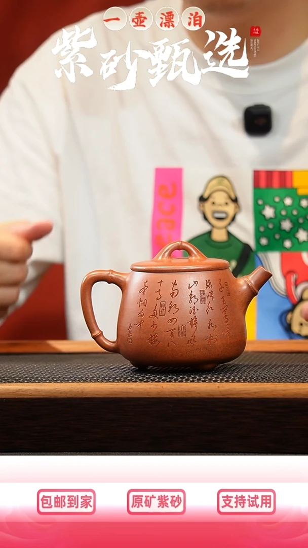 茶壶紫砂 一壶漂泊紫砂茶器6011