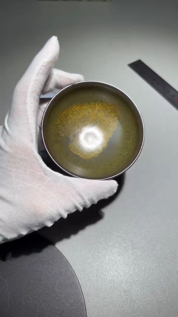 茶盏孙莉老师茶盏12