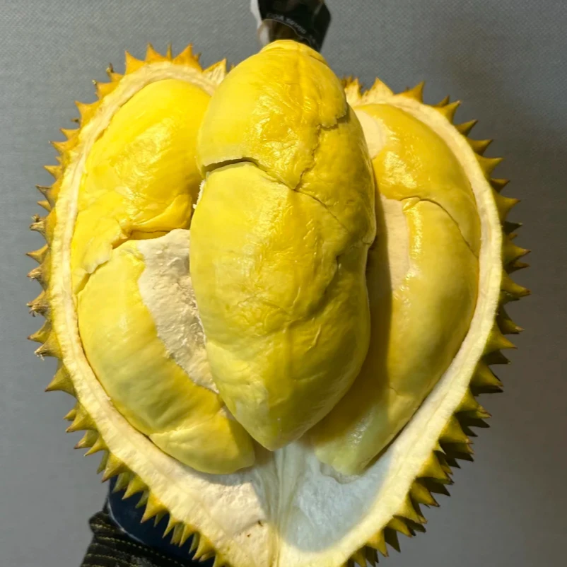 【花香型】北部龙啦咧泰国树熟榴莲软糯蜜甜单果2斤起包4房顺丰包邮