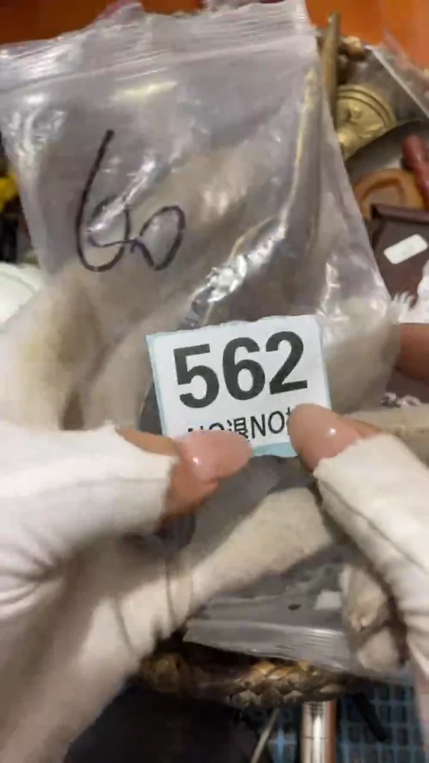 陶瓷つ****直播间火爆热卖