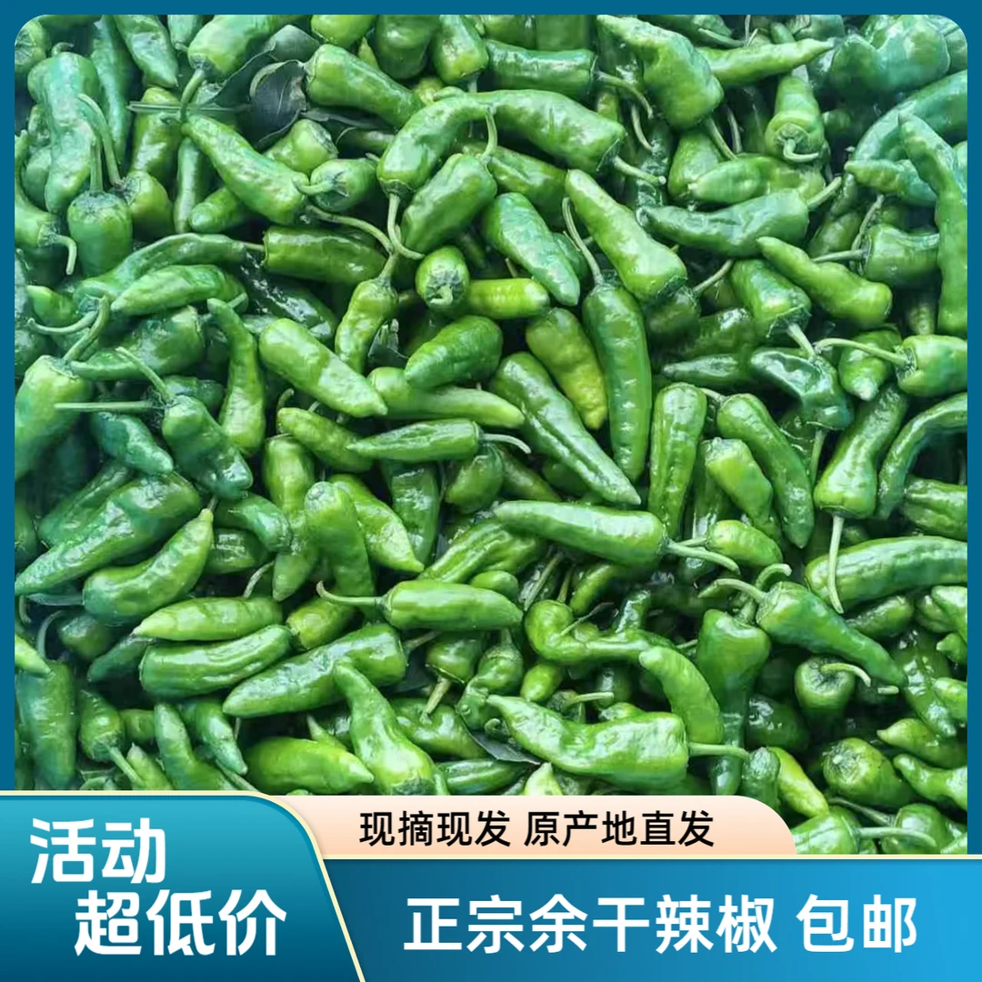 江西正宗余干辣椒新鲜薄皮现摘现发原产地直发
