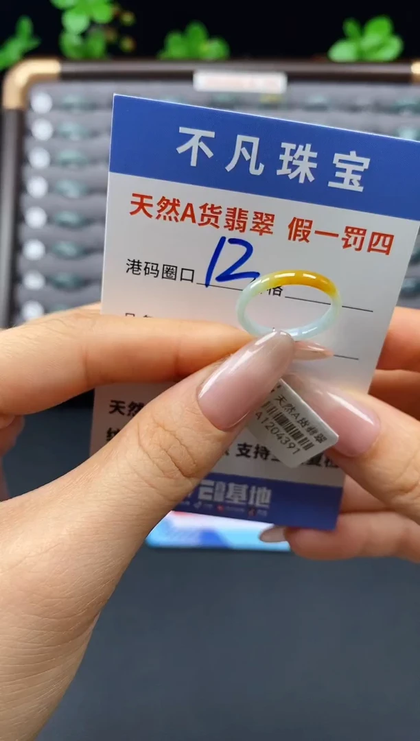 未镶嵌戒指翡翠天然A货翡翠04391
