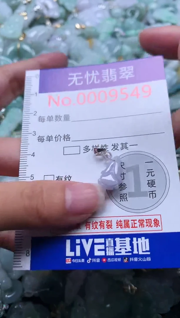 颈饰未镶嵌翡翠9549