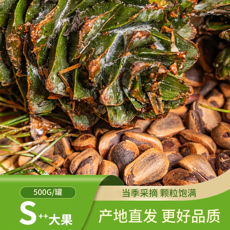长白山脉碳烤750特大颗粒原味东北红松子非油炸开口产地直发包邮
