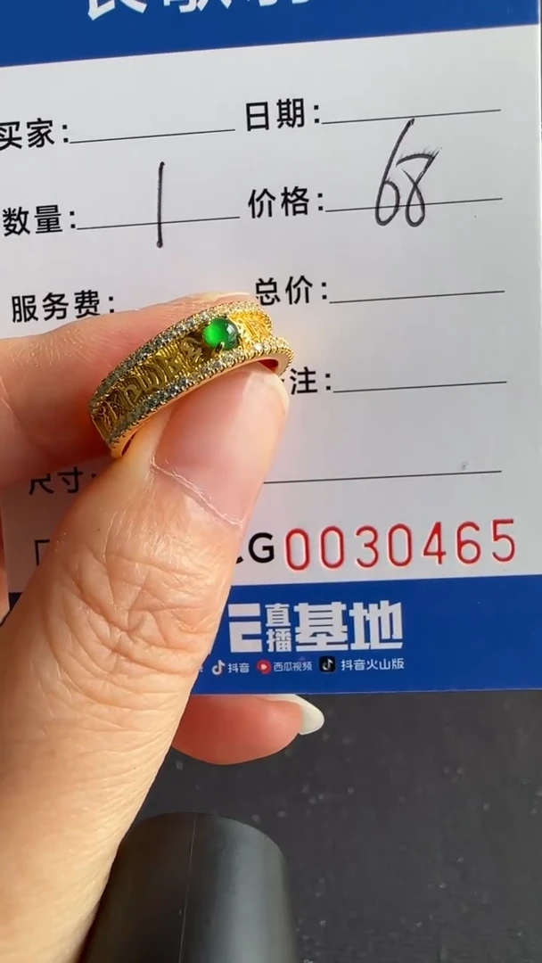 翡翠银S925镶嵌颈饰00000465