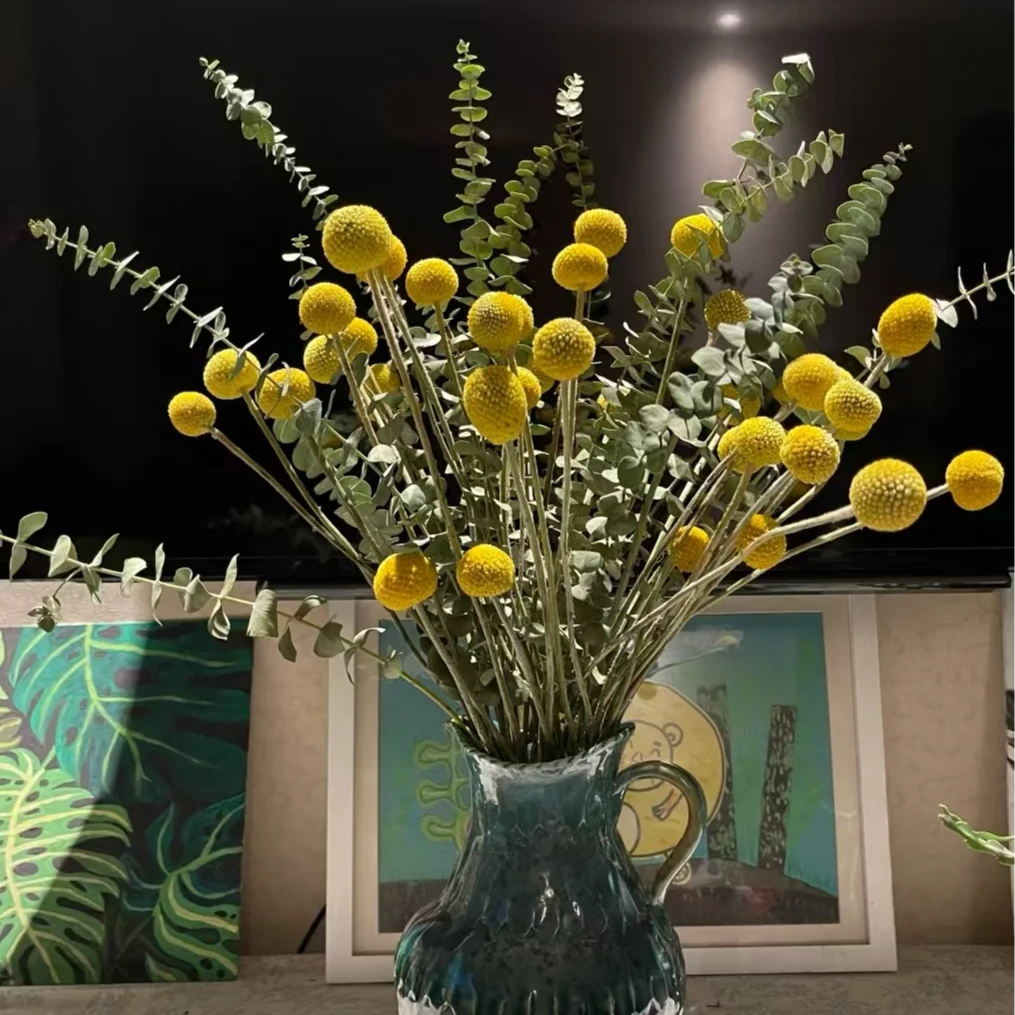 【黄金球】-百搭花材-可做干花