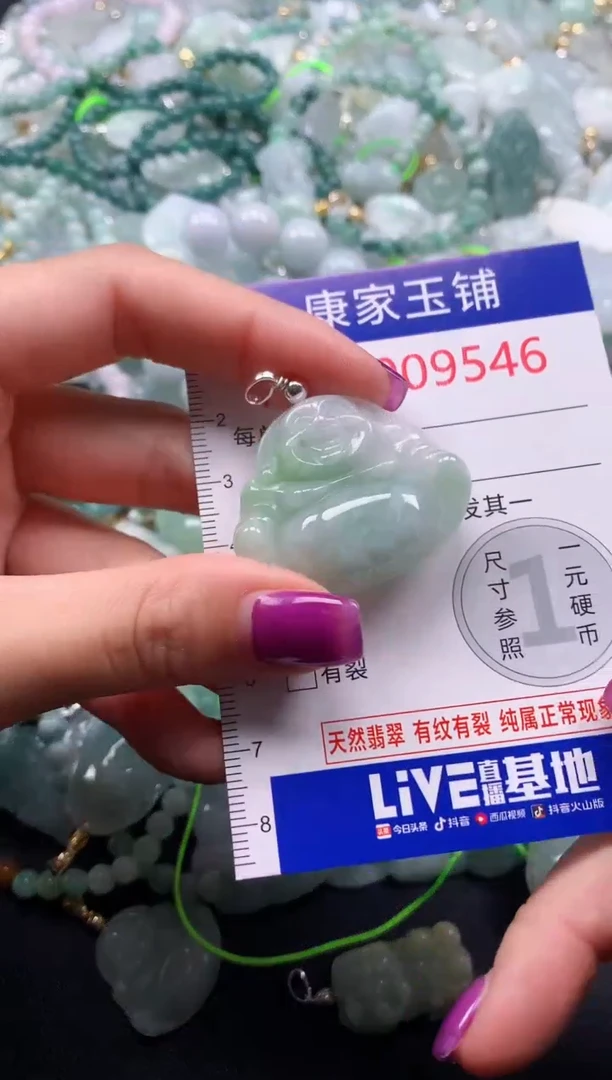 颈饰未镶嵌翡翠9546