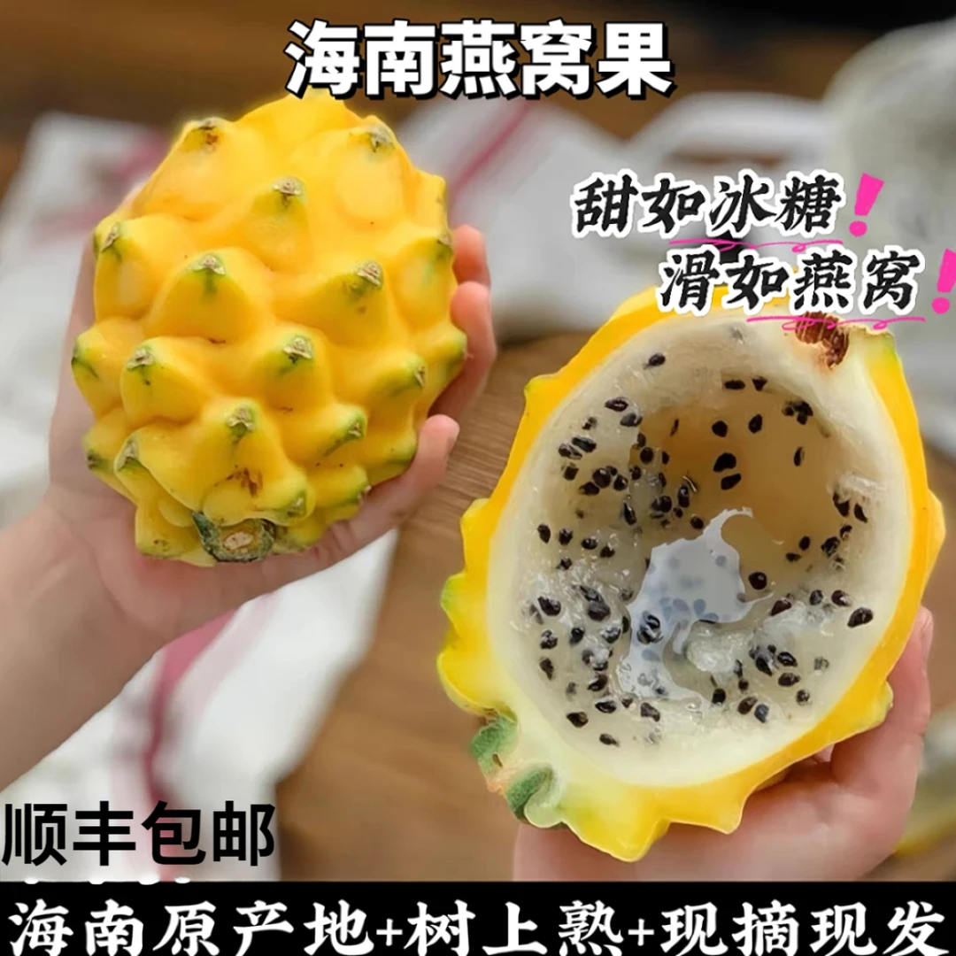 顺丰包邮麒麟燕窝果新鲜当季果园现摘黄皮白心火龙果热带特产水果