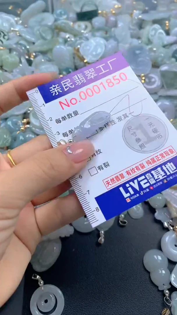 颈饰未镶嵌翡翠1850