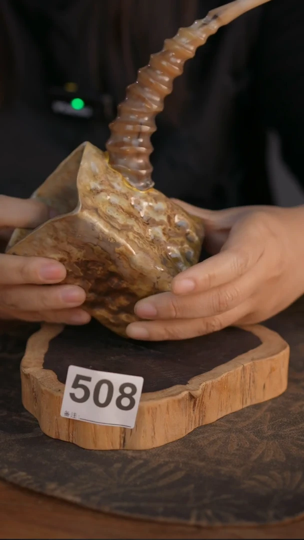 508直播间闪购孤品茶器