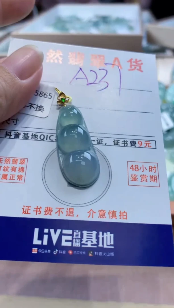 颈饰18K金镶嵌翡翠 天然缅甸a货翡翠