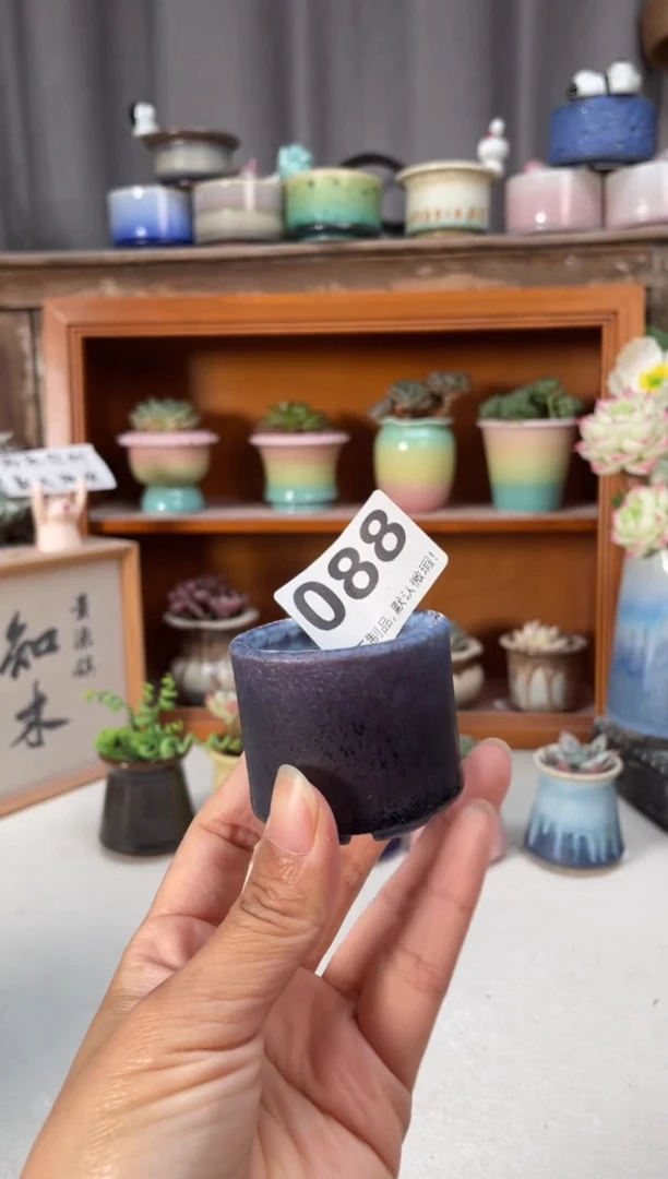 瓷片088小芳直播编号