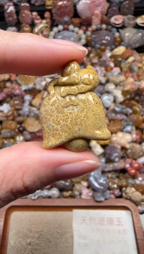 颈饰未镶嵌硅化珊瑚（珊瑚玉）882