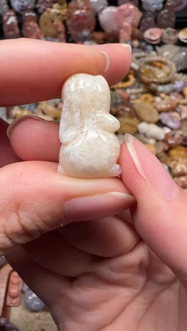 颈饰未镶嵌硅化珊瑚（珊瑚玉）575