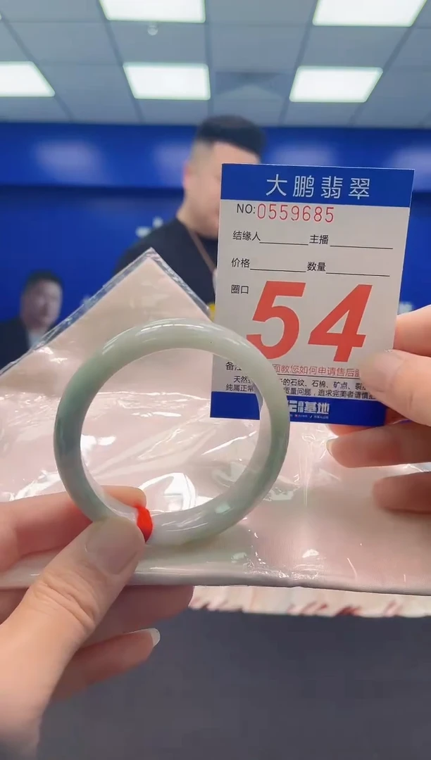 未镶嵌手镯翡翠AAAAAAAAA