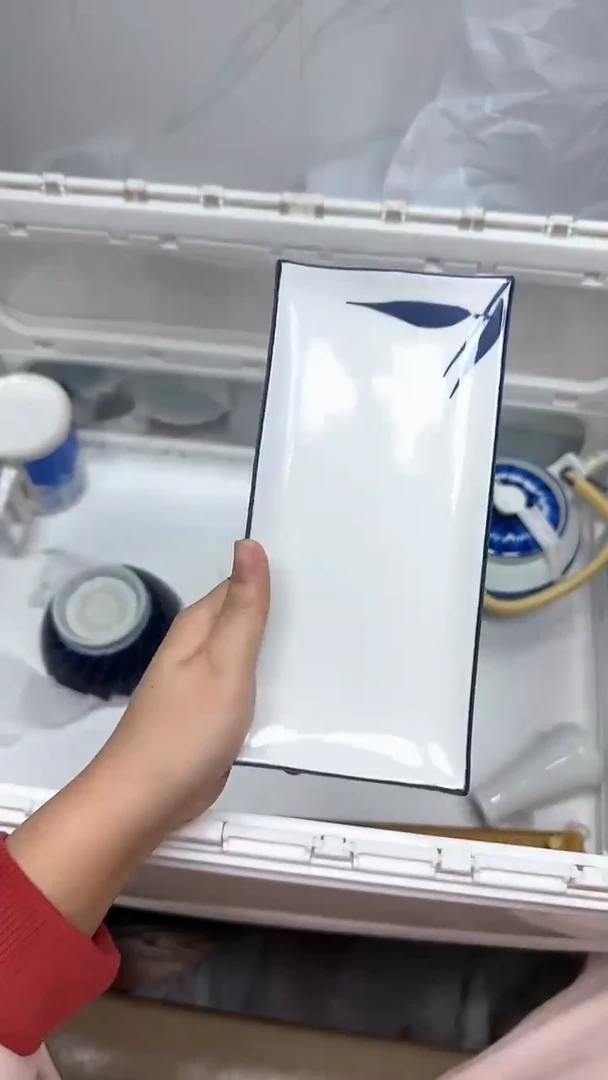 【闪购商品】2758回流瓷器默认微瑕，18.8包邮1