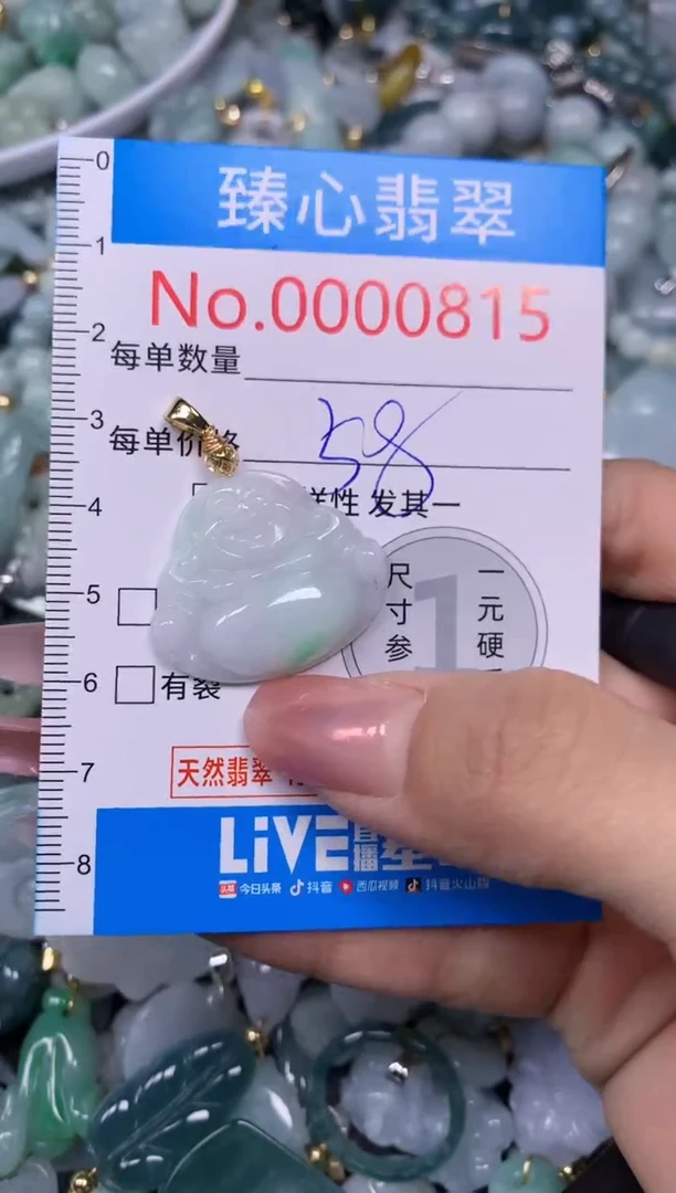 【闪购商品】翡翠颈饰未镶嵌含绳000815