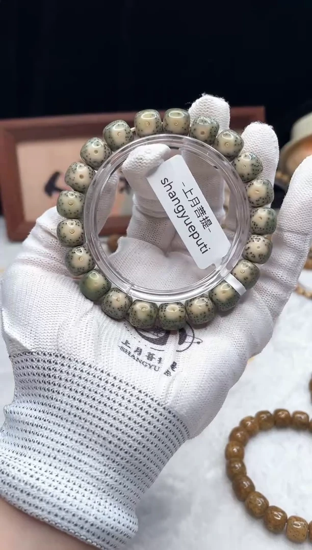 手串星月菩提X17 11X10 F001