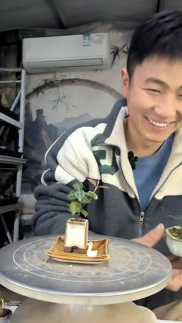 丢*中青园艺一物一拍花499