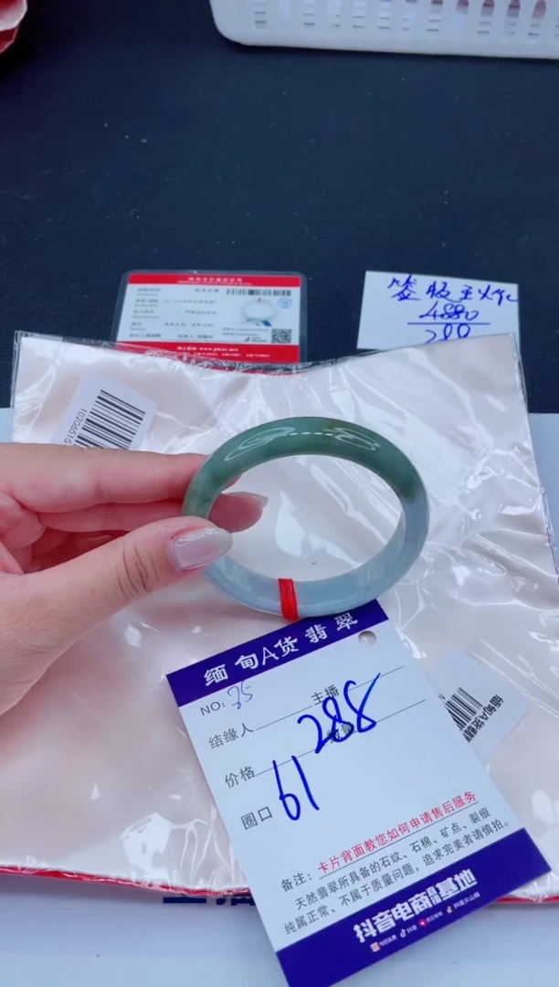 未镶嵌手镯翡翠1