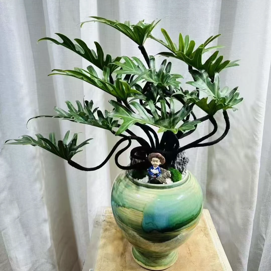 老桩造型龙鳞小天使盆栽新中式意境绿植耐阴耐旱懒人常青绿植