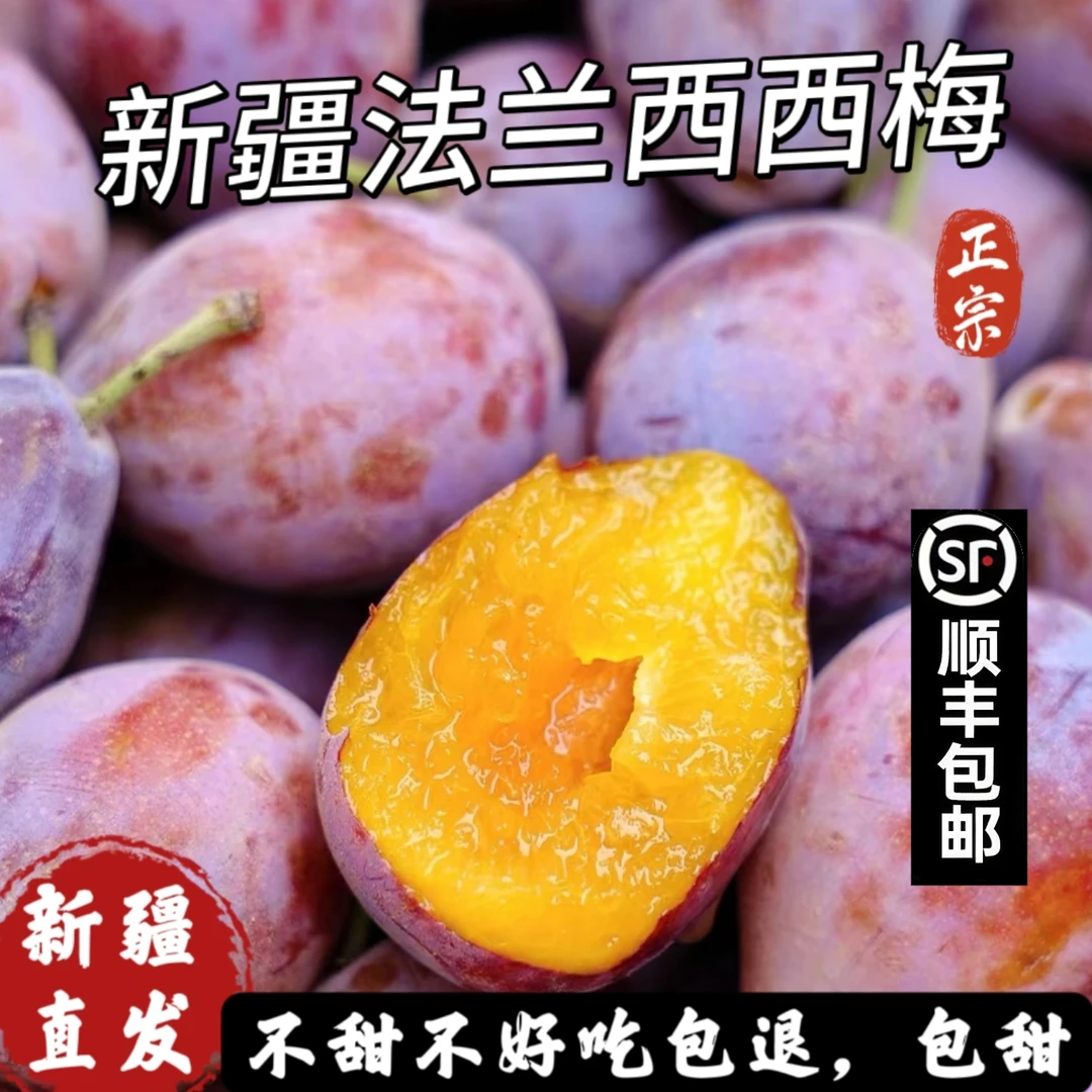 新疆喀什法兰西西梅新鲜采摘包甜包正宗【顺丰空运品质】
