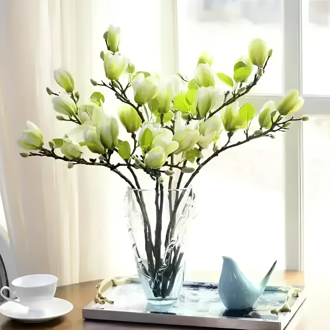 【新年开花】水培玉兰绿植室内水培客厅办公室鲜切枝条桃花水养花卉