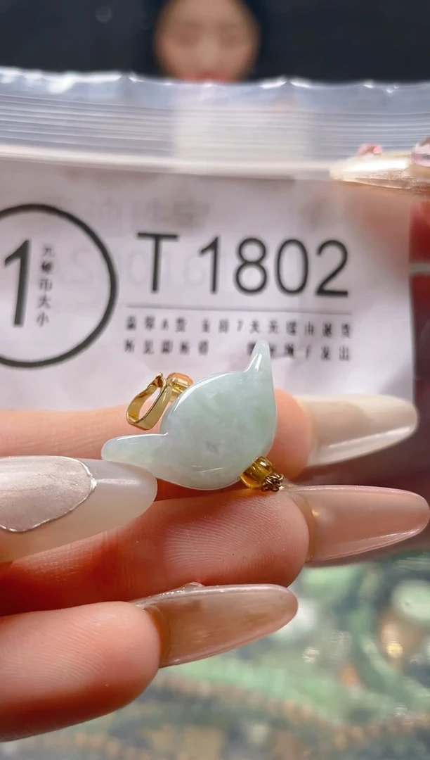 【闪购商品】翡翠颈饰未镶嵌/T/翡翠A货一图一物