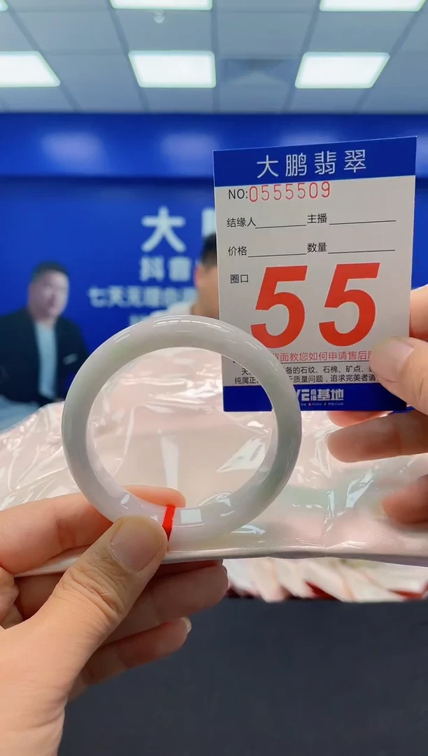 未镶嵌手镯翡翠AAAAAAAAA