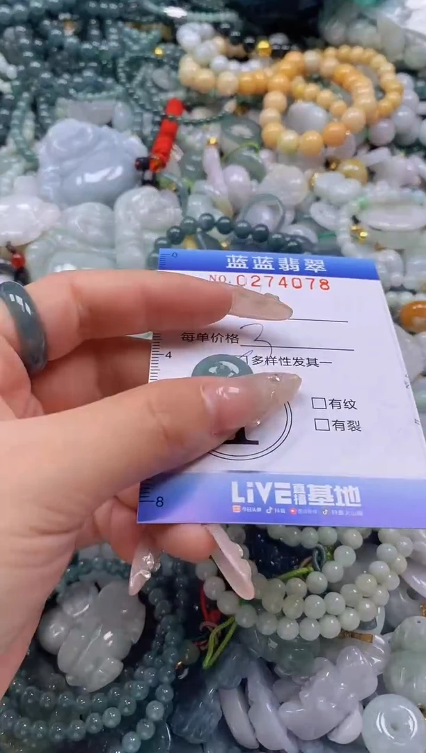 翡翠未镶嵌颈饰闪购0274078多样性发其一