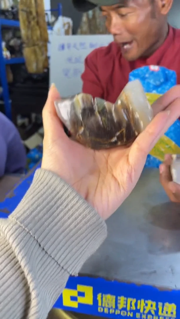 未镶嵌摆件硅化玉2