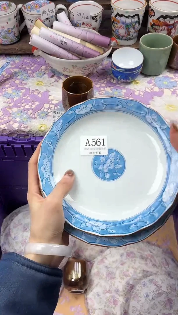 瓷片W                     A561